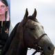 Photos via AP Images. (Photo edited to feature Donna Byrne’s mugshot on unrelated horse photo.)